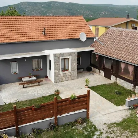 Forest Queen - Village *