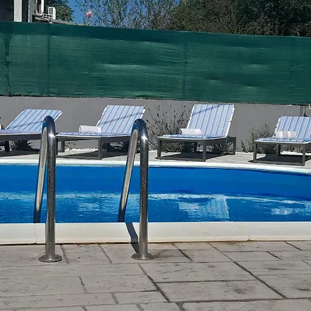 Forest Queen - Village